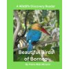 Beautiful Birds of Borneo