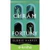 E-kniha Chrám Fortúny - Elodie Harper