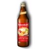 BIO horúce jablko-zázvor Rabenhorst 750 ml Zelená Lekáreň