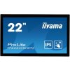 LCD monitor 22