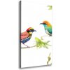 Vertikálny foto obraz tlačený na plátne Vtáky 50x100 cm