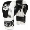 Boxerské rukavice DBX BUSHIDO B-2v3 10 oz