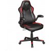 Trust GTX 704 RAVY Gaming Chair 24219