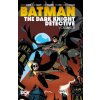 Batman: The Dark Knight Detective Vol. 8 (Tom Lyle,Graham Nolan)(Brožovaná)