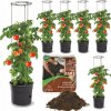 Kvetináč plast sivý Botle 40 cm x 39,2 x 31,5 cm