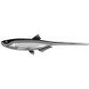 Libra Lures Nástraha Bleak Slug Tail 21cm 35g Cosmos 123