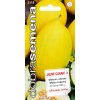 Dobré semená Melón cukrový Jaune Canari 3 20s