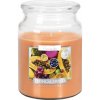 Bispol Vonná svíčka ve skle TROPICAL FRUITS 500 g