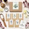 Jora Dahl Sada semien Wild Bouquet 