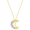 Šperky eshop - Náhrdelník v 14K zlate - obojstranný ornamentálny polmesiac s výrezom GG35.27