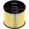 DELPHI PALIVOVÝ FILTER CITROEN 2,0HDI