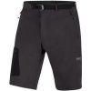 Direct Cruise short 2.0 anthracite/black, vel.: XL