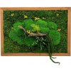 Machový obraz Jungle I. 50x35cm