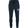 Pánske tepláky O'Neill, SURF STATE JOGGER PANTS tmavo modrá M