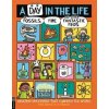 A Day in the Life of Fossils, Fire and Other Fantastic Finds - Mike Barfield, Michael O'Mara Books Ltd