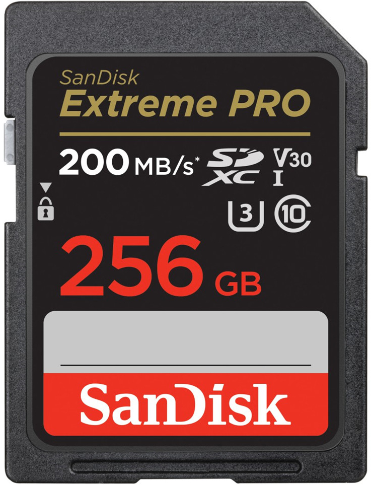 SanDisk SDXC 256 GB SDSQXAO-256G-GNCZN