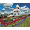 Diamondi Diamantové maľovanie - VETERNÝ MLYN A TULIPÁNY (DENNIS FRATES) Rámovanie: bez rámu a bez vypnutia plátna, Rozmer: 40x50 cm