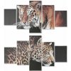 Plátno DKD Home Decor Borovica Plátno 150 x 2 x 80 cm Tiger