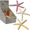 Europet Bernina Aqua D´ella Starfish Large 18,5 cm, 3x5 ks