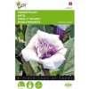 Datura metel Andelská trúba, Durman metelový cca 0,5 g