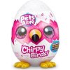 ZURU Pets Alive: Môj vtáčik so zvukmi