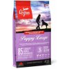 Orijen Dog Puppy Large 11,4kg
