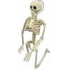 Verk 26132 Ľudská kostra dekorácie na Halloween 40 cm