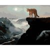 Zuty – Maľovanie Podľa Čísel – Puma Na Skale, Rieka V Údolí A Mesiac (D. Rusty Rust), 40 × 50 cm, Plátno 8596530164685
