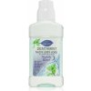 Bione Cosmetics Dentamint nočná 265 ml