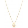 Pozlátený strieborný náhrdelník so zirkónmi JVD SVLN0586X61GO45