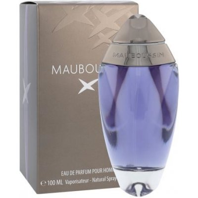 Mauboussin Homme 100 ml Parfumovaná voda pre mužov