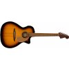 Fender Newporter Player WN