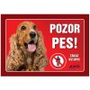 Juko Plastová tabuľa Pozor Pes Kokršpaniel 21 x 14,7 cm