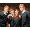 Zuty Maľovanie podľa čísel Fred, George, Ron a Ginny Weasleyovci (Harry Potter)