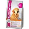 Eukanuba Golden Retriever 12 kg