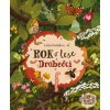 Rok v lese: Drobečci - Emilia Dziubak, Emilia Dziubak (ilustrátor)