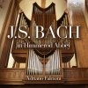 J.S. Bach in Himmerod Abbey (CD) (Adriano Falcioni)