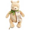 Rainbow Designs Limited Rainbow Plyšový Macko Pú so zelenou mašličkou 22 cm