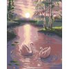ZUTY Maľovanie podľa čísel - LABUTE NA VODE Rámovanie: vypnuté plátno na rám, Rozmer: 80x100 cm