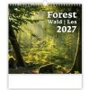 Forest, 30 x 30 cm 2026
