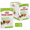 ROYAL CANIN Adult xs-small - vlhké krmivo pro psy - 12 x 85g