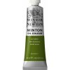 OLEJOVÁ FARBA - WINSOR & NEWTON - WINTON - 37 ML | SAP GREEN
