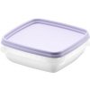 Orthex Freezer Box levanduľa 6 ks 0,3 l 12 × 12 × 4,5 cm