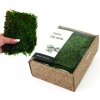 KreaBox - Plochý mach - Flat moss