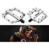 DMR BIKES pedále Vault Brendog Signature Ice DMR BIKES dmr_pedals_vault_ice