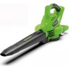 Greenworks GD24X2BV