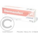 Dermazulen ung.der.1 x 30 g