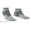 Bridgedale Hike Midweight Performance Ankle ponožky, silver/black M