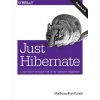 Just Hibernate
