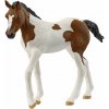 Schleich Žriebä plemena Paint Horse 14899